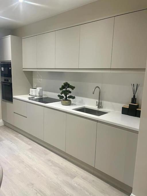 Apartament New Flat In Holland Park Londyn Zewnętrze zdjęcie